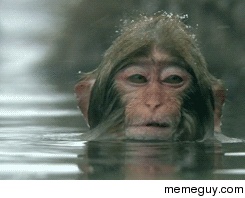 My face when I attempt to playfully fix my hair