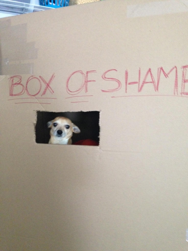 My family has a box of shame Jimmy was first to use it