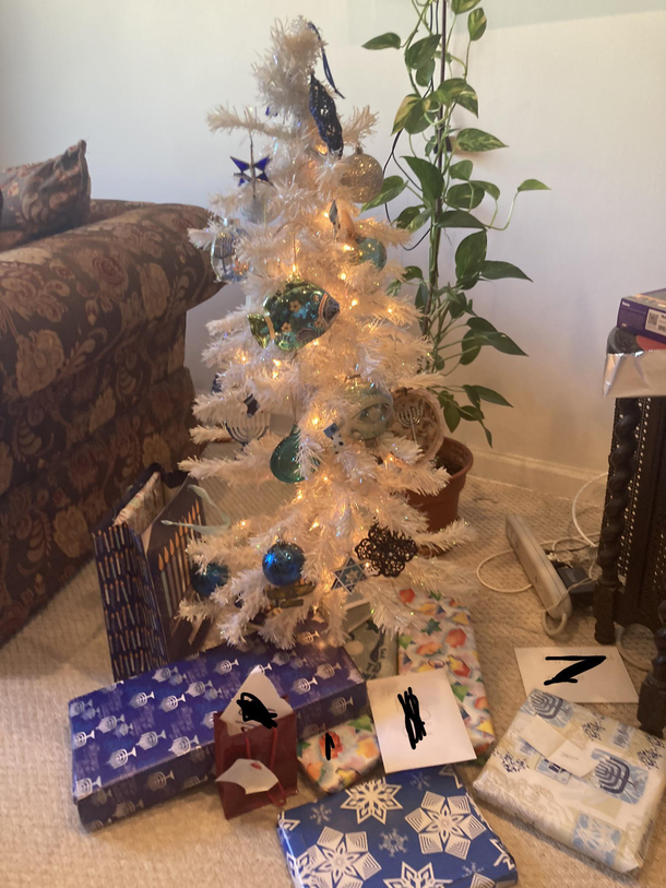 My family Jewish so instead of getting a Christmas tree we got a Hanukkah bush