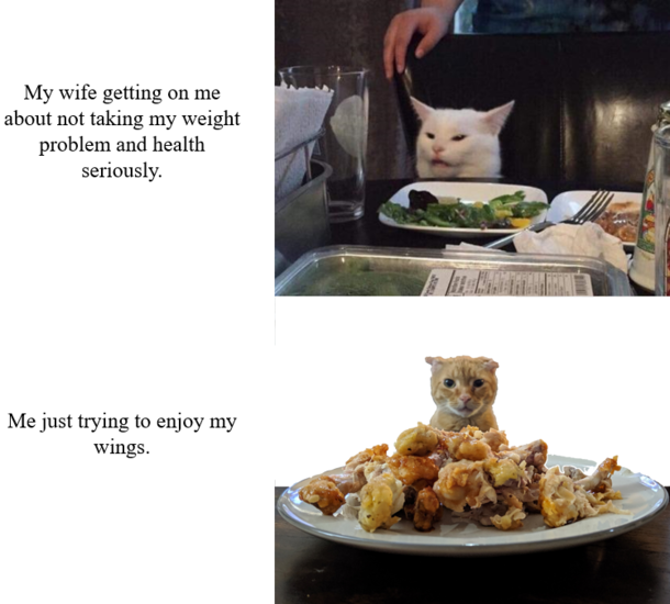 My fat cat was staring longingly at my wings last night Meet Rufus