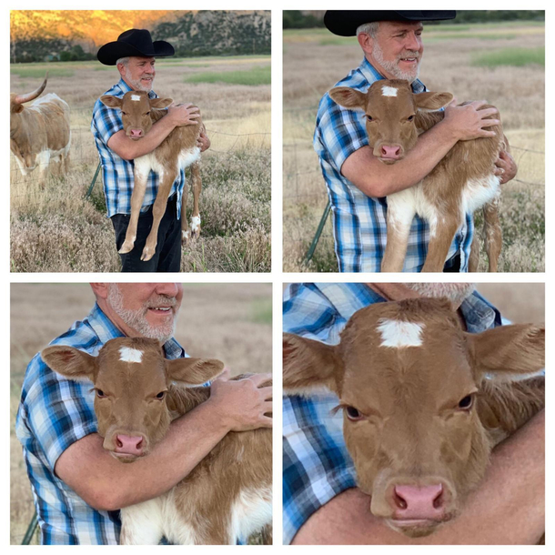 My father-in-law and his newest calf