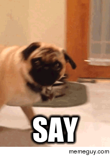 My favorit GIF