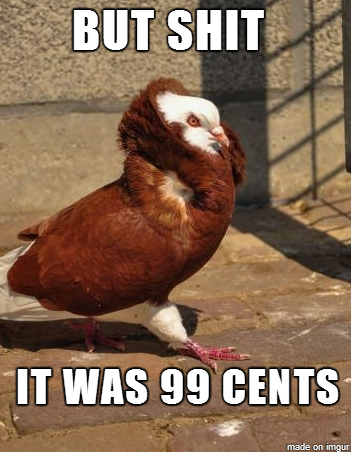 My favorite picture Reddit has given me