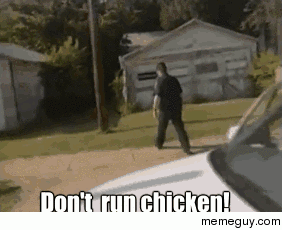 My favourite gif