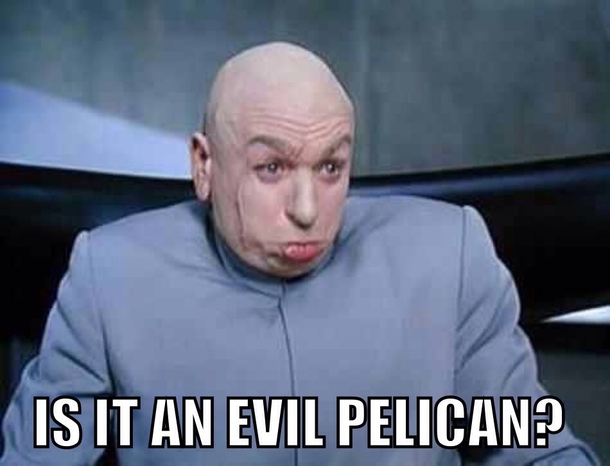 My first thought when I heard the New Orleans Hornets changed their mascot to the pelicans