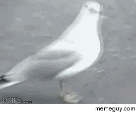 My first try at a downvote gif