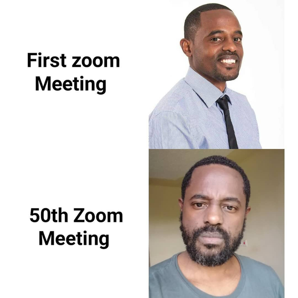 zoom meeting memes