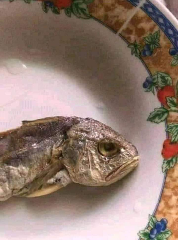 My food staring at me like Im a disappointment
