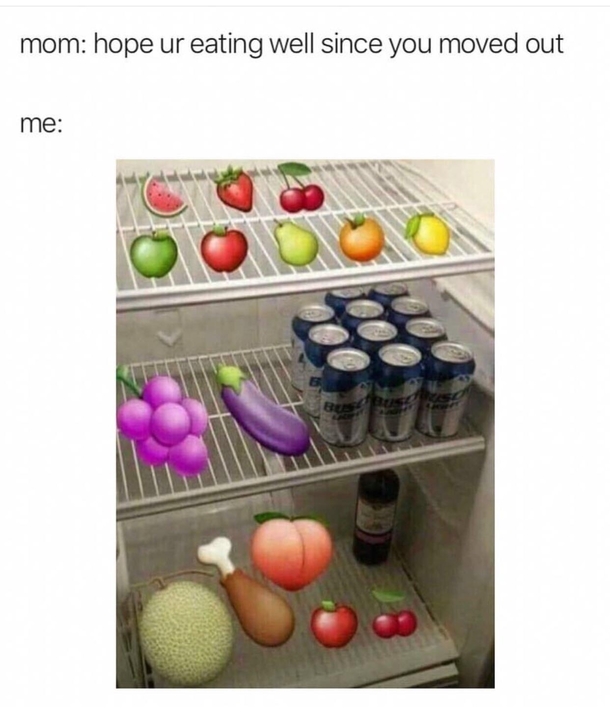 My fridge irl