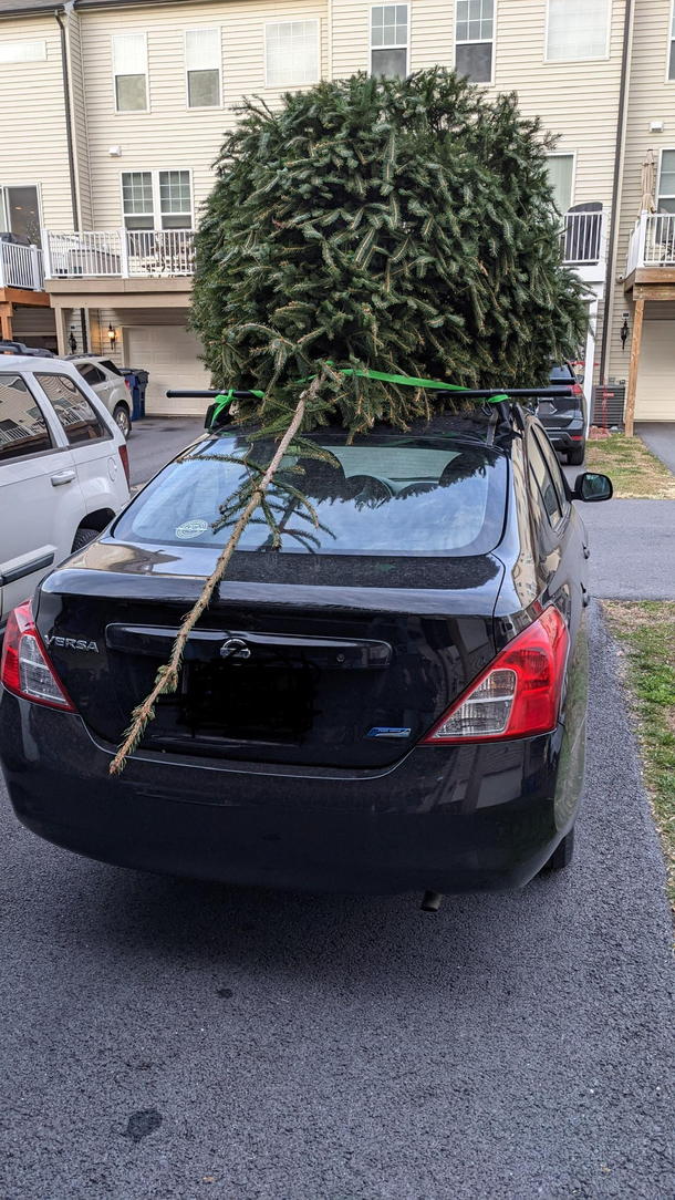 My friend bought the tree uncle Eddie would pick