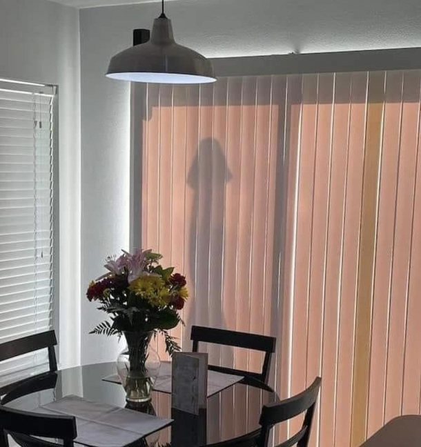 My friend got a new garden umbrella yesterday She woke up this morning to this