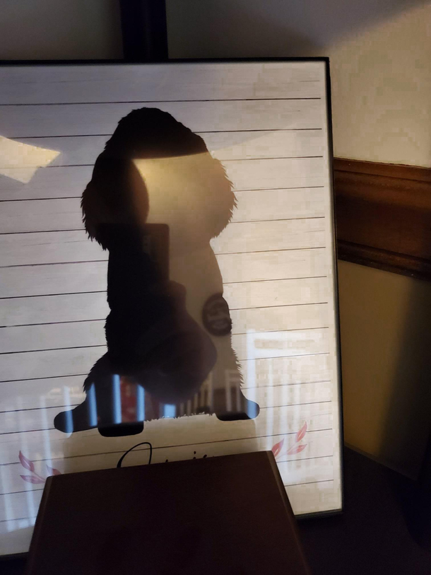 my friend got a silhouette of his deceased dog