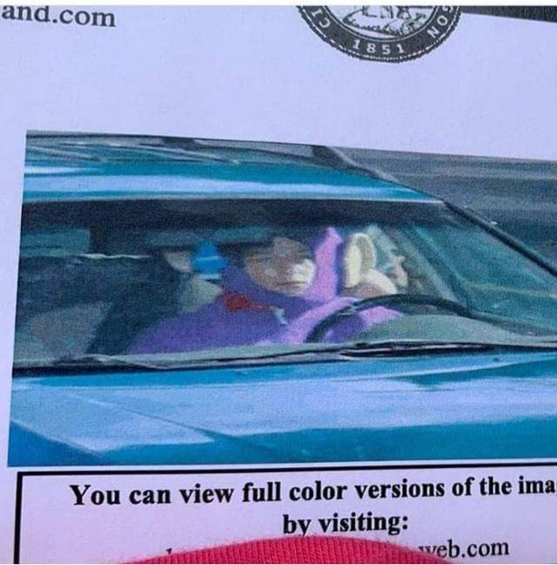 My friend got caught by a speed cam while wearing a Tinky-Winky costume
