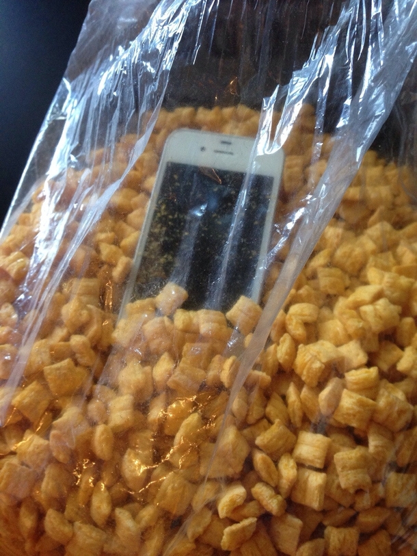 My friend got trashed and got his phone wet and thought he was putting it in a bag of ricea week later my friend found it