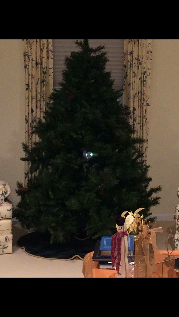 My friend hadnt even gotten the chance to decorate her tree before the cat claimed it
