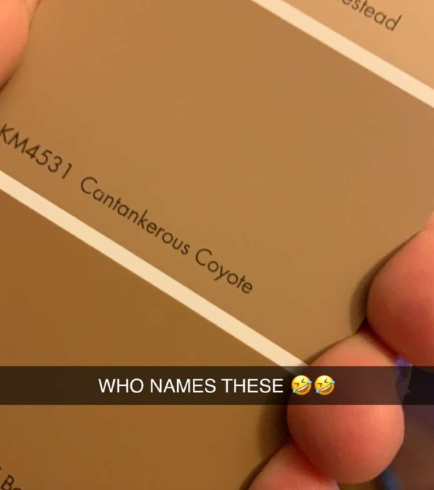 My friend is picking out a new paint color for her house