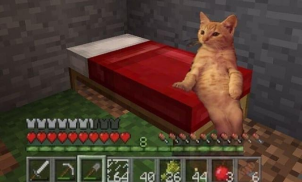 My friend photoshopped her cat onto a Minecraft bed pretty neat right