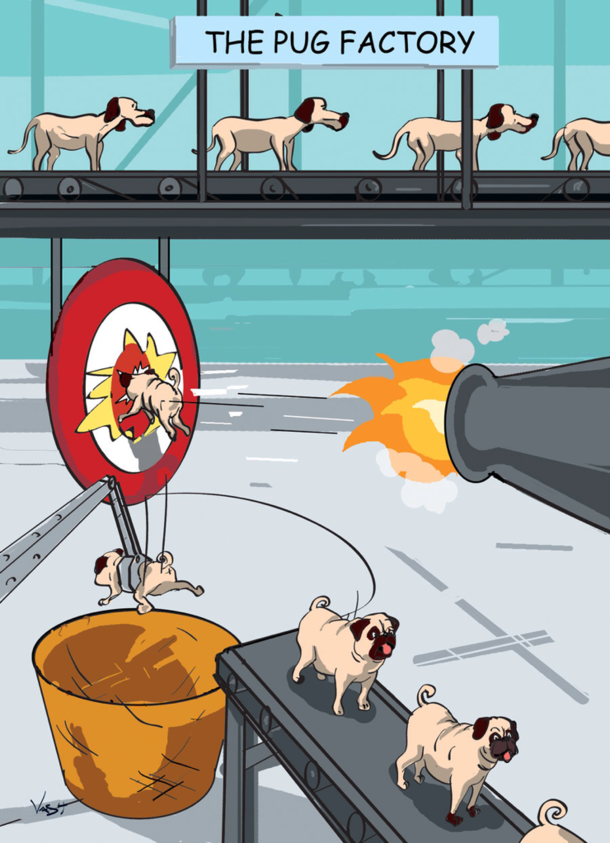 My friend said they were getting an Englishfrench bulldog so I sent her this