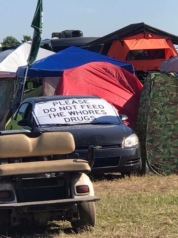 My friend sent me this from Electric Forest 