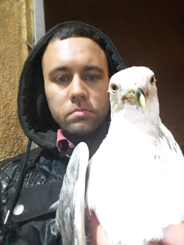 My friend telling me he became friend with a seagull