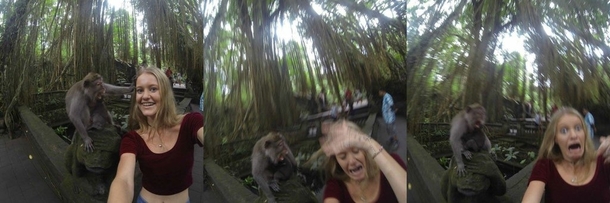 My friend tried taking a selfie with a monkey It didnt end well