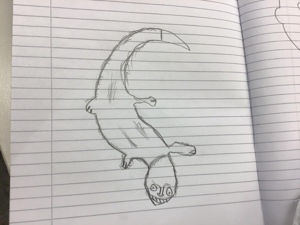 My friend tried to draw a lizard