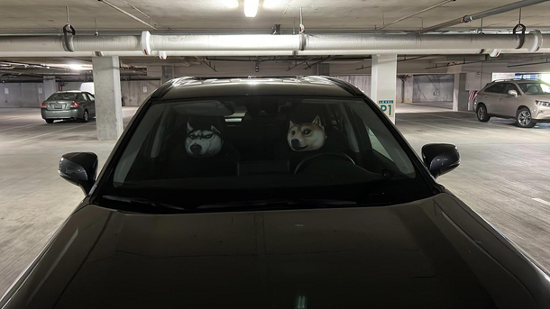 My friend was spooked when he saw this in his offices parking lot I love people with two humorous doggos