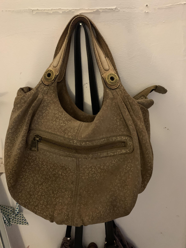 My friends and I drank together at my home We decided my bag is a toad