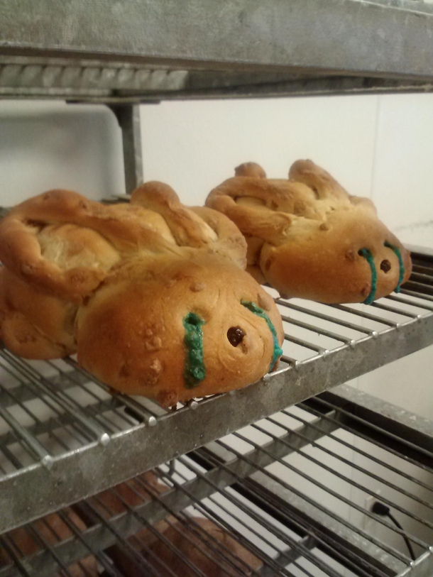 My friends bakery was making Easter bunnies with MampM centers Never have I seen such horror