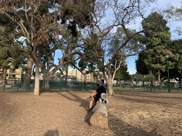 My friends dog couldnt find him at the park so he sat next to these strangers while looking for him