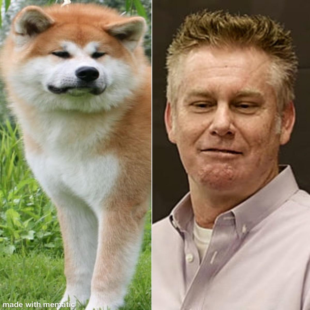 My friends dog looks like Brian Regan and its beyond uncanny