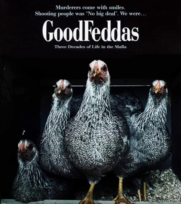 My friends hens look like a gang so I made them a decent poster