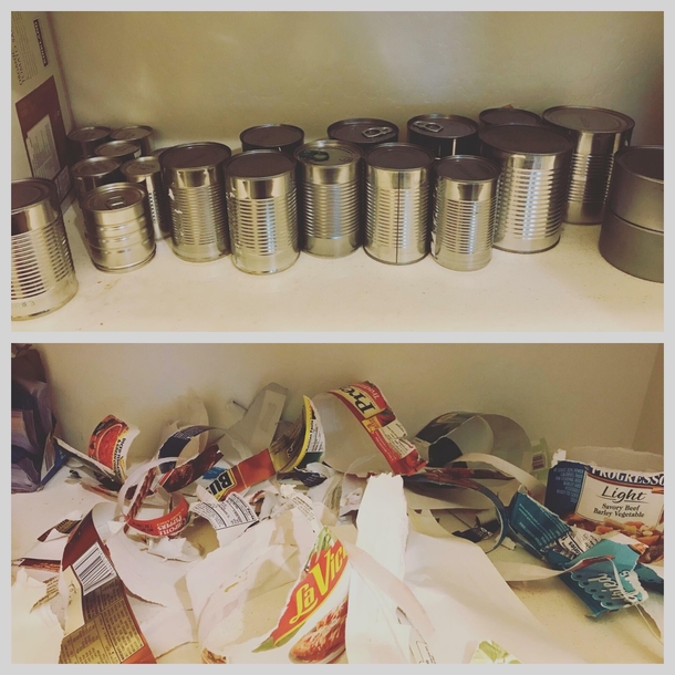 My friends kid did this to their pantry