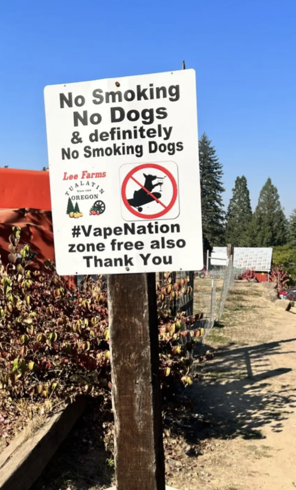 My friends recently visited a pumpkin patch Seems strict