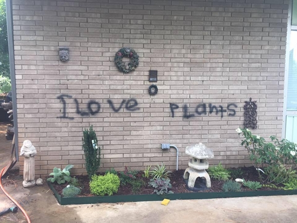 My friends son in his backyard garden thought he was playing with removable chalk spraypaint He was not