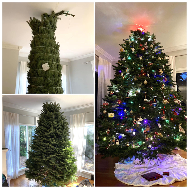 My friends tree was too tall Normally you cut from the base of the tree to make the size correction