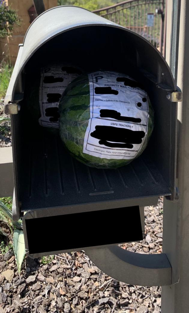 My friends were feeling melancholy during this shelter-in-place so I mailed them watermelons both were delivered successfully thanks USPS