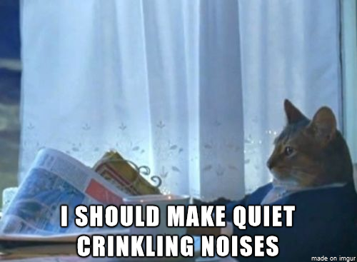My fucking cats at  am