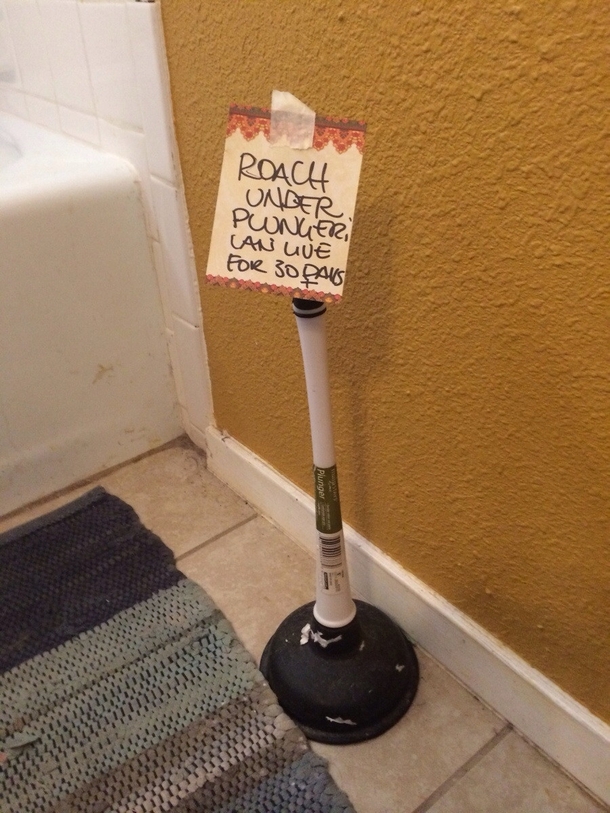 My gf found this in her roommates bathroom