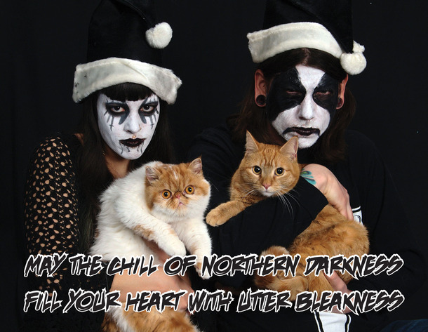 My GF got a Groupon for Xmas cards Can we bring the cats She asked me followed by Can we wear corpse paint I present to Reddit Black Metal Christmas with cats
