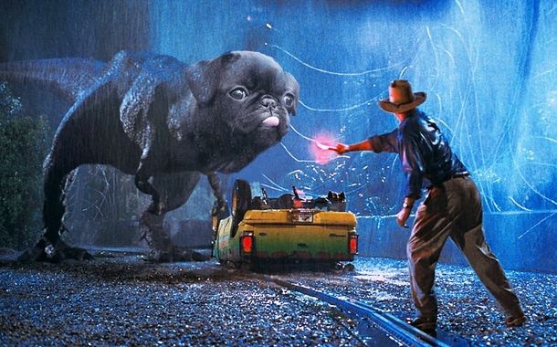 My gf photoshops pugs into different scenes