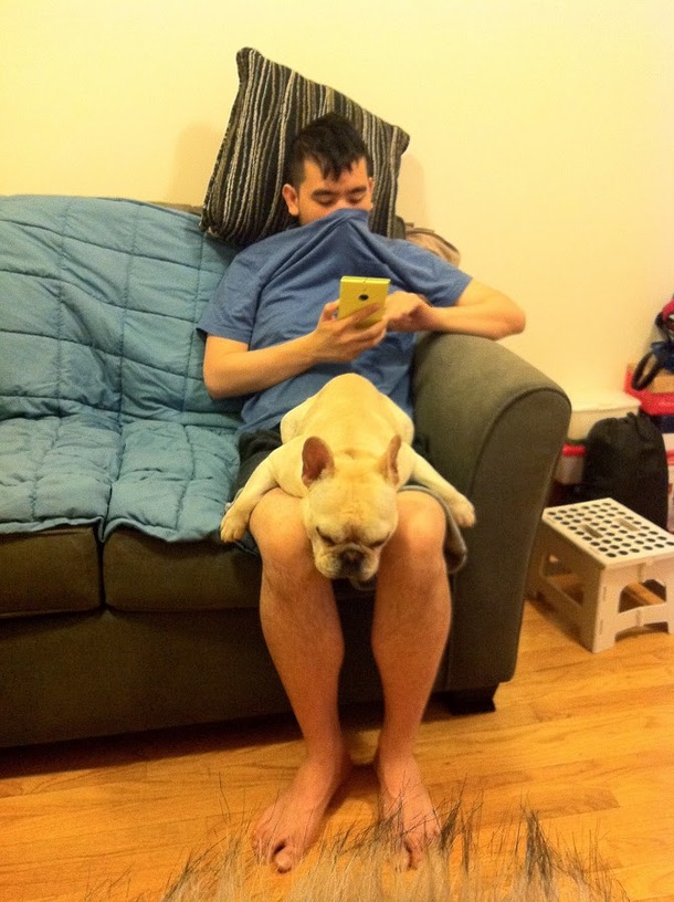 My gfs dog likes to sleep on my lap and constantly fart in my face