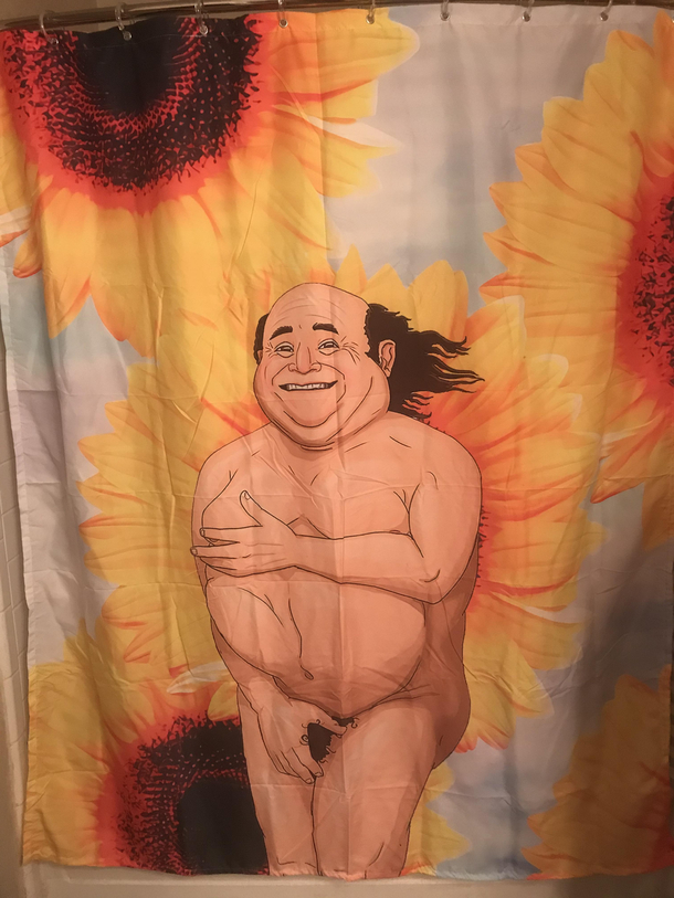 My Gfs favorite flower is the Sunflower So for her birthday and since she took down my Jeff GoldblumHarambre shower curtain I ordered this Danny Devito Sunflower special