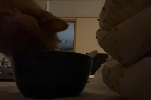 My girlfriend asked me to watch her ice cream for her over FaceTime