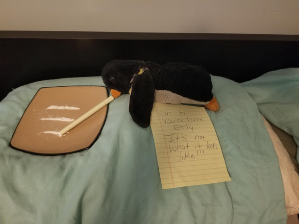 My girlfriend has had this penguin since she was a kid and sleeps with it every night On days that I spend the night and she works the next morning I make sure he gets up to shenanigans for her to find when she gets home Heres todays Its flour