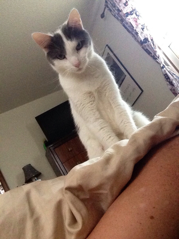 My girlfriend just sent me this I hope she is still alive when I get home