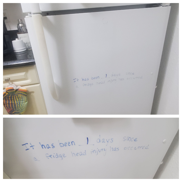 My girlfriend keeps hitting her head on the freezer door in our new apartment Ive been considering buying her a helmet