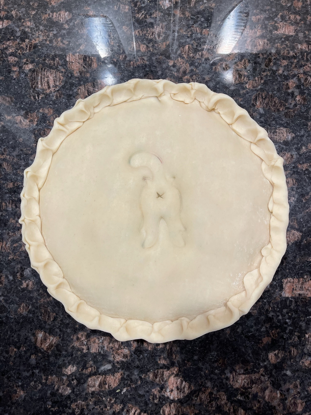 My girlfriend made a chicken pot pie for dinner