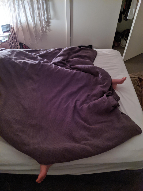 My girlfriend says she doesnt take up that much room in bed I walked into the room last night and she was sleeping like this