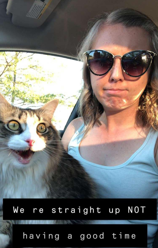 My girlfriend took our cat to her second ever vet appointment today Needless to say she doesnt get out much